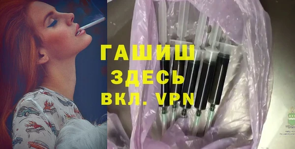 шишки Арсеньев