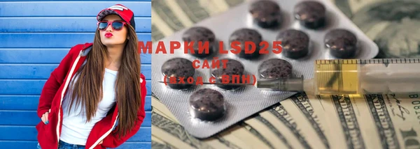 шишки Арсеньев