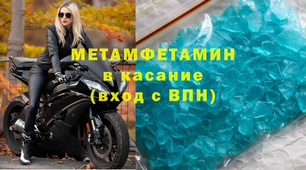 шишки Арсеньев