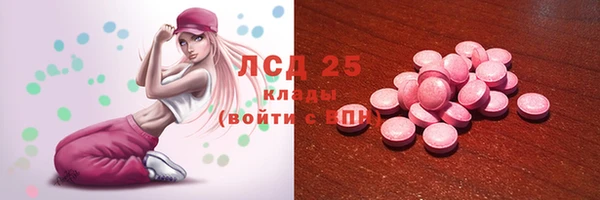 шишки Арсеньев