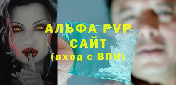 шишки Арсеньев