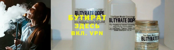 шишки Арсеньев