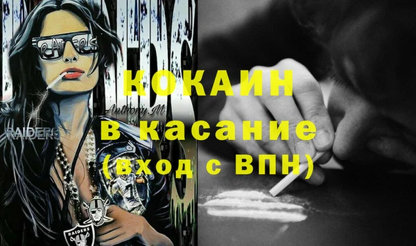 шишки Арсеньев