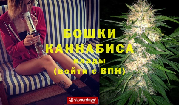 шишки Арсеньев
