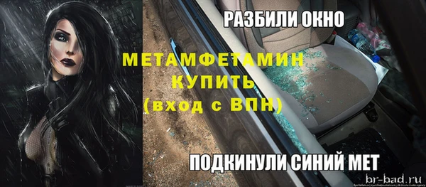 шишки Арсеньев