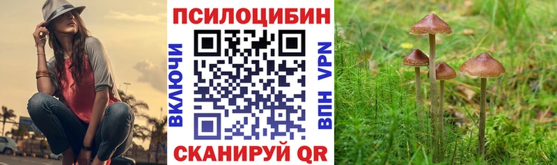 Псилоцибиновые грибы Magic Shrooms  mega вход  Мезень 